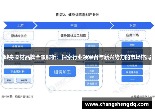 健身器材品牌全景解析：探索行业领军者与新兴势力的市场格局