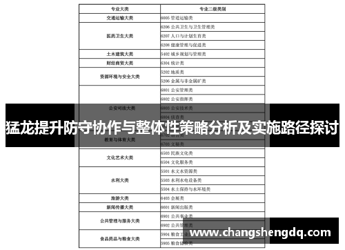 猛龙提升防守协作与整体性策略分析及实施路径探讨
