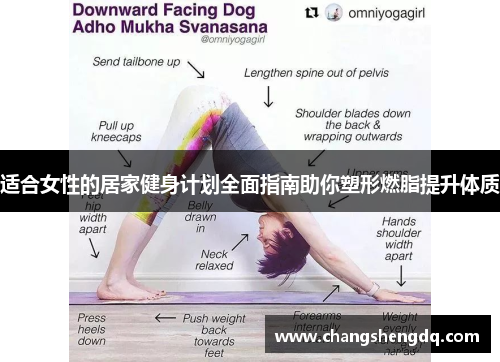 适合女性的居家健身计划全面指南助你塑形燃脂提升体质