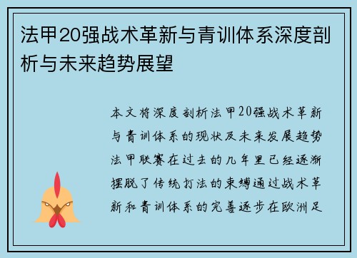 法甲20强战术革新与青训体系深度剖析与未来趋势展望