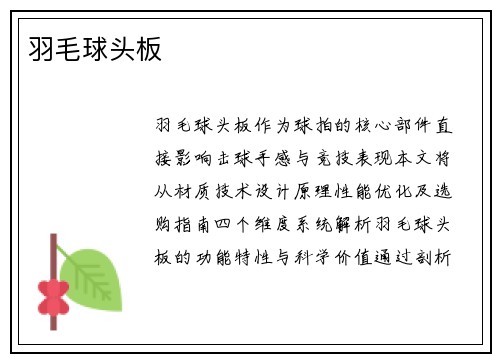 羽毛球头板